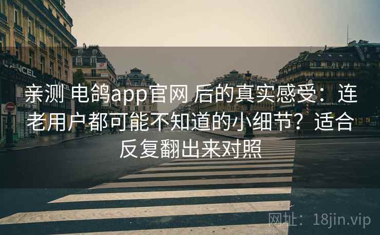 亲测 电鸽app官网 后的真实感受：连老用户都可能不知道的小细节？适合反复翻出来对照