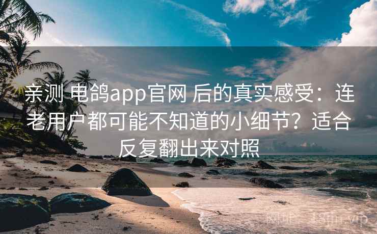 亲测 电鸽app官网 后的真实感受：连老用户都可能不知道的小细节？适合反复翻出来对照