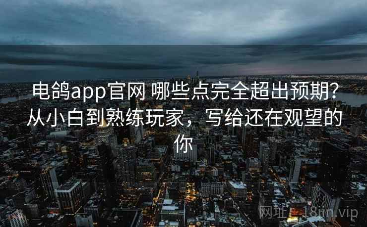 电鸽app官网 哪些点完全超出预期？从小白到熟练玩家，写给还在观望的你