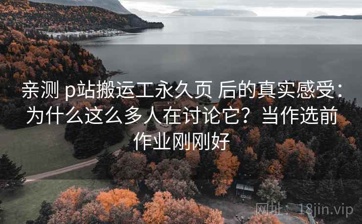 亲测 p站搬运工永久页 后的真实感受：为什么这么多人在讨论它？当作选前作业刚刚好