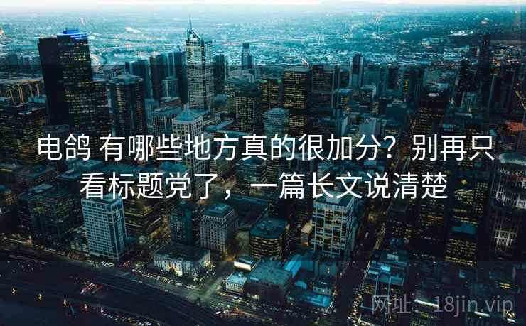 电鸽 有哪些地方真的很加分？别再只看标题党了，一篇长文说清楚