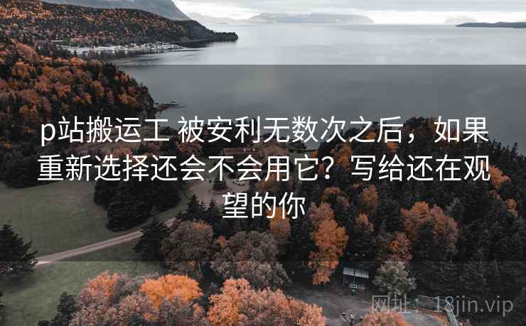 p站搬运工 被安利无数次之后，如果重新选择还会不会用它？写给还在观望的你