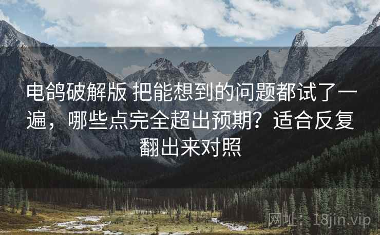 电鸽破解版 把能想到的问题都试了一遍，哪些点完全超出预期？适合反复翻出来对照
