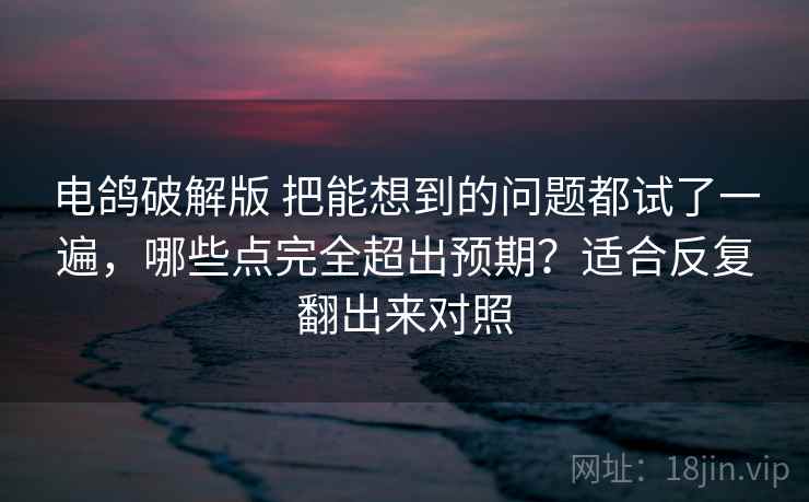 电鸽破解版 把能想到的问题都试了一遍，哪些点完全超出预期？适合反复翻出来对照