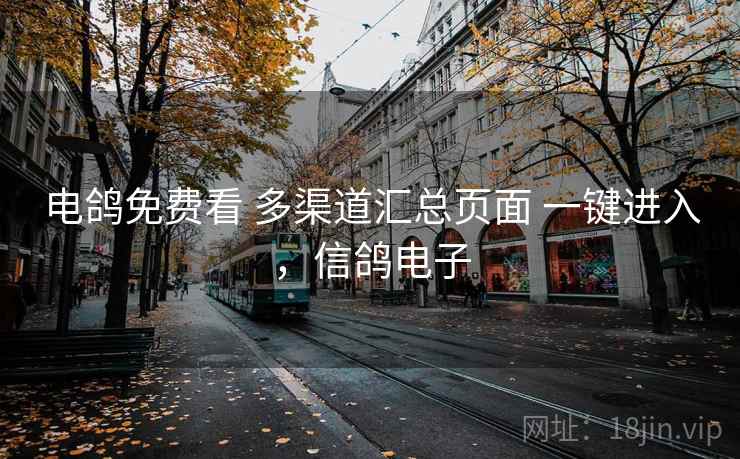 电鸽免费看 多渠道汇总页面 一键进入，信鸽电子